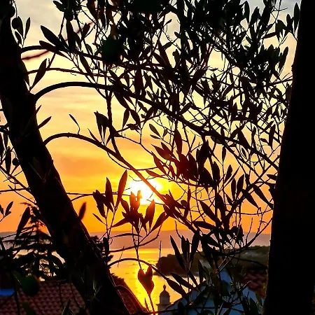 Appartamento Rajci