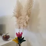 Rajci Apartman
