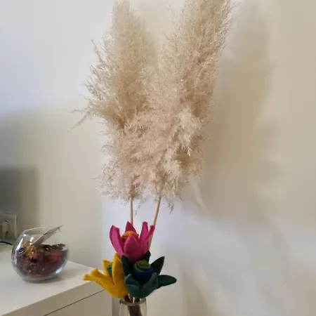 Rajci Apartment
